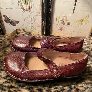 Algeria Paloma Brown Mary Janes EUC  EU 40 US 10
